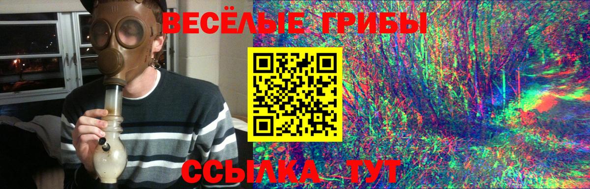 Псилоцибиновые грибы Psilocybine cubensis Стерлитамак