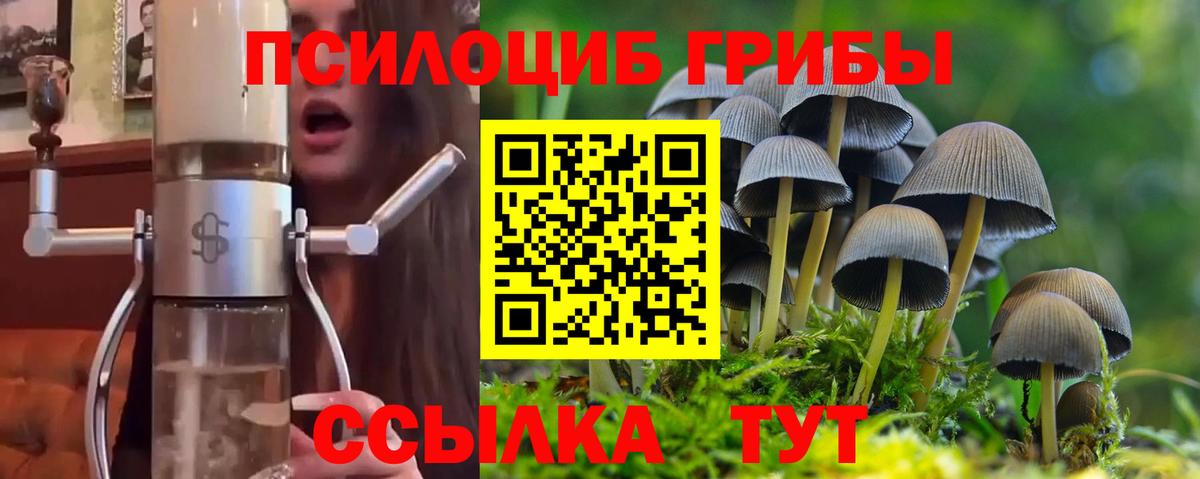 Галлюциногенные грибы MAGIC MUSHROOMS  наркотики  Вход с VPN  Стерлитамак  Галлюциногенные грибы Psilocybe 